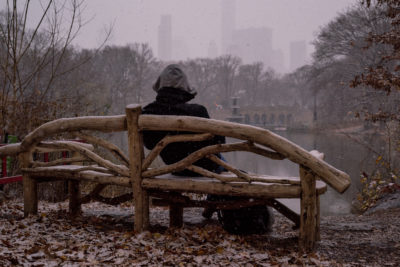 Brief respite in the Central Park snow